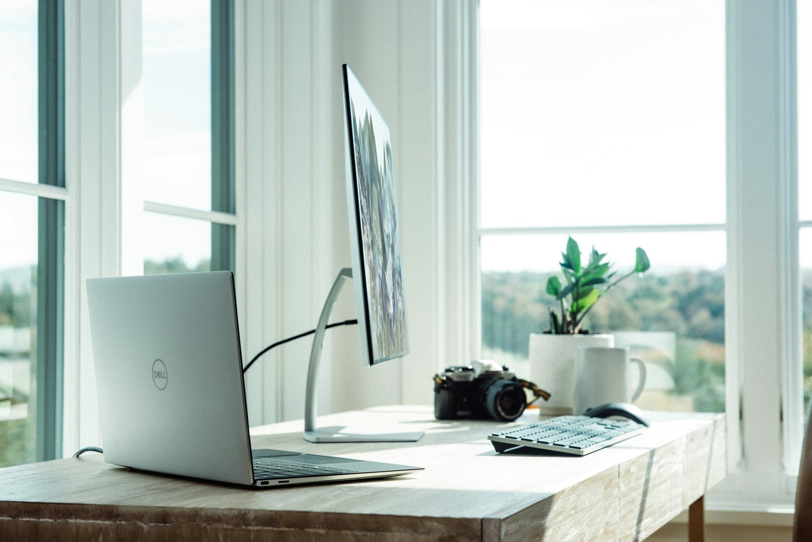 Illustrative sunlit workspace with considered office essentials