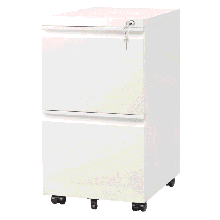 DEVAISE Metal 2-Drawer Mobile File Cabinet with Recessed Handles and Lock — white