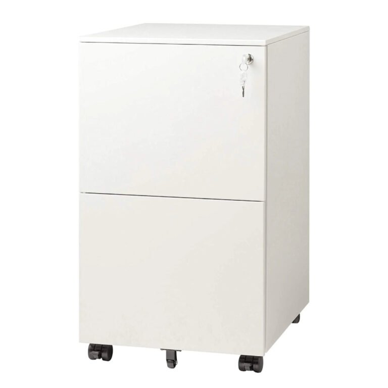 DEVAISE Metal 2 Drawer Mobile File Cabinet with Lock — white